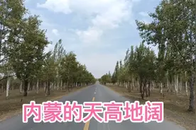 来到内蒙你才知道天高地阔，地广人稀，一个镇上只有一家饭馆视频封面
