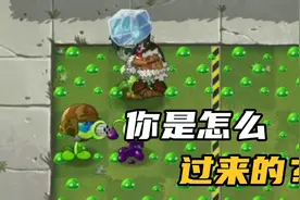 我们是僵尸：把大蒜和鱼钩草联系在一起视频封面