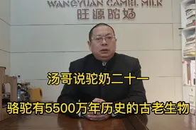 骆驼，来自北美洲，距今约5500万年的古老生物。视频封面
