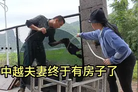 广西中越夫妻想法越来越像，没能力就躲起来，怪不得他们是一家的视频封面