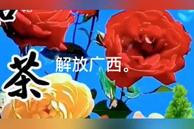 解放广西。视频封面