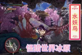 PC怪猎世界冰原：泳装美女太刀硬刚水妖鸟视频封面