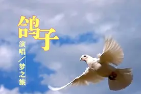 世界名曲《鸽子》旋律优美，宛如天籁。梦之旅和声美妙，洋洋盈耳