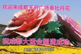 成都天府广场的超级大牡丹花！迎八方宾客！祝成都大运会圆满成功视频封面