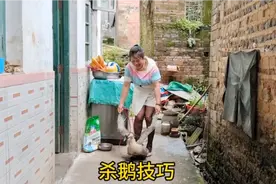杀鹅最简单的方法，就是下刀的穴位找的准，方法简单好学会视频封面