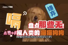 辣椒你也吃你以为你是四川的？