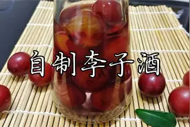 吃不完的红脆李不要扔，教你做李子酒，酸酸甜甜美味爽口视频封面