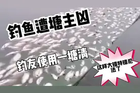钓鱼遇到家养塘遭塘主凶，钓友们请理智对待，一塘清的大错不要犯视频封面