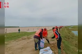 视频︱凝心聚力 众志成城 黄河口镇全力以赴保障黄河安澜入海图片