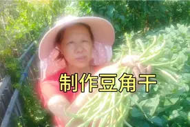 湖南(浏阳)人喜欢把吃不完的豆角，这样晒成干，太好吃了