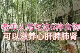 老年人常吃这6样东西，可以滋养心肝脾肺肾，也是我的最爱视频封面