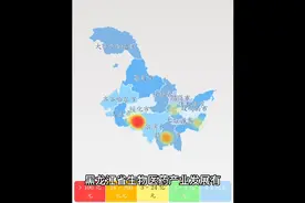 黑龙江省千亿药业！化学药品、现代中药、生物制药视频封面