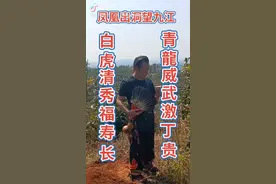 广东省化州本地姜（谢吴公）寻龙记视频封面