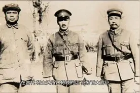 明朝悍将蓝玉玷污北元皇妃，朱元璋为何对他剥皮，斩杀全族上万人视频封面