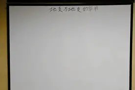 十二地支之间作用力关系论冲视频封面