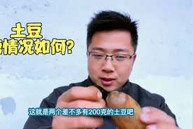 土豆的升糖情况如何？今天就烤两个土豆吃下，看我的血糖有啥变化视频封面