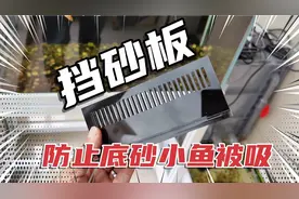 怎么防止底砂和小鱼被吸到过滤里？用挡砂板，效果还是不错的视频封面
