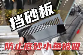 怎么防止底砂和小鱼被吸到过滤里？用挡砂板，效果还是不错的视频封面