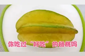 杨桃有些人吃过，但是吃过“好吃”的杨桃吗？为什么我吃的都不香视频封面
