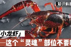 小龙虾的这个“灵魂”部位不能吃视频封面