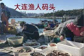 实拍大连的渔人码头，渔民下船就做交易，海鲜都是活的，第一次见视频封面