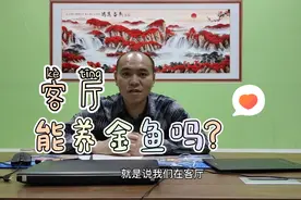 客厅能养金鱼吗？有什么讲究？我们详细分析一下。视频封面