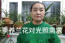 冬季室内养兰花，兰花对光照强度的需求怎样把握，视频分享经验。视频封面