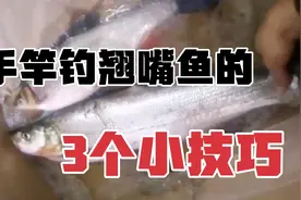 3000块的大翘嘴是怎么钓的？野钓翘嘴的全套方法，3分钟学会视频封面