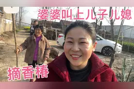 没人住的老房子里，香椿树竟然长满芽，婆婆带儿子儿媳去摘真过瘾视频封面