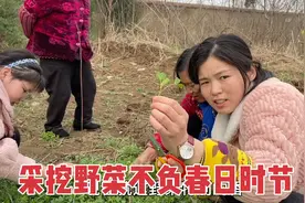 春时之季，野菜遍地生，带孩子们采挖“地豆”品尝儿时的味道视频封面