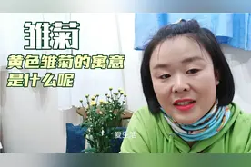 没想到黄色雏菊有很多寓意，又涨知识了！感谢好友赠送！视频封面