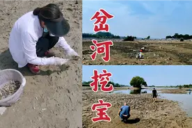 石家庄滹沱河断流了，干涸的河道里有很多挖宝人，看看她们挖的啥视频封面