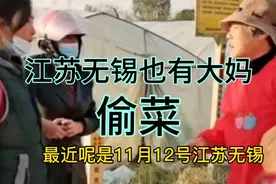 无锡也有大妈偷菜，被抓住一脸谈定，恬不知耻称是文明人？视频封面
