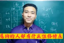 生肖狗的秘密性格特点你是这样的吗？视频封面