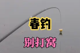 春钓，为何说打窝是空军根源？搞懂这两个核心问题，钓鱼不再难！视频封面