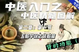 中医入门-中医精髓图解，肾功能详解（二）视频封面