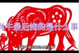 生肖牛最后悔的是什么事？视频封面