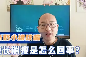 秋冬季养猪问题多，小猪刚断奶就咳嗽喘气，知道是怎么回事吗？视频封面