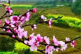 国风古韵，静心看世界，一首好听的歌《红楼梦》中华文化