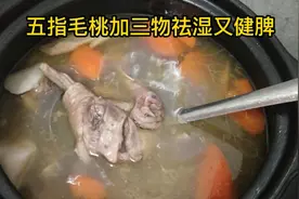 广东靓汤:五指毛桃加三物，祛湿又健脾，小孩大人都合适喝视频封面