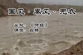 阚立文原唱《无衣》，白杨诵读《秦风•无衣》，为河南亲人加油！视频封面