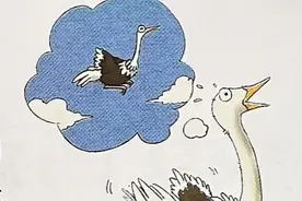 鸵鸟为什么飞不起来，原来鸵鸟是世界上最重最大的鸟