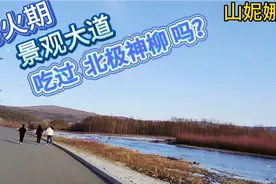 黑龙江省大兴安岭呼中区景观大道转一圈！原二综合扒喽！视频封面