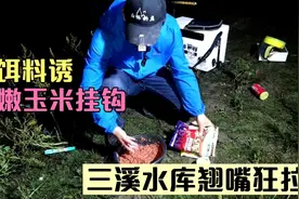 钓翘嘴的正确方式，嫩玉米打窝嫩玉米钓打频率钓截口，屡试不爽！视频封面