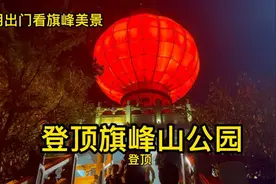 教你赚100万，视频有方法绝对真实。就怕你不要