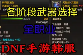 DNF手游韩服：全职业的前期、过渡期、毕业期武器的选择攻略！视频封面