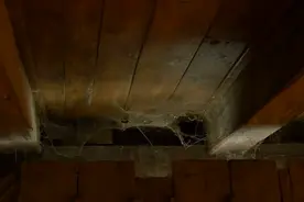 【恐怖映像】睡覺時...地下室突然傳來腳步聲？6個地下室的恐怖影视频封面
