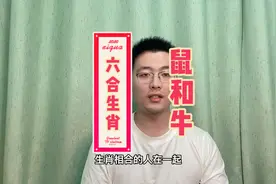 生命里的贵人，六合生肖之鼠、牛。鼠和牛搭配是相合视频封面
