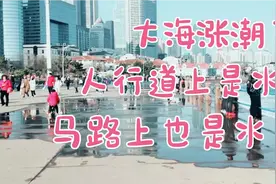 山东青岛，大海涨潮浪太大了，水漫上路面，场面令人震撼……视频封面