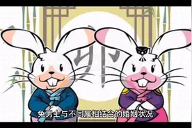 中续，兔男士与不同属相相结合的婚姻状况和最佳婚配？视频封面